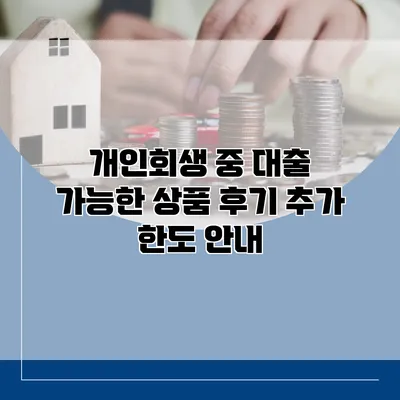 개인회생 중 대출 가능한 상품 후기 추가 한도 안내