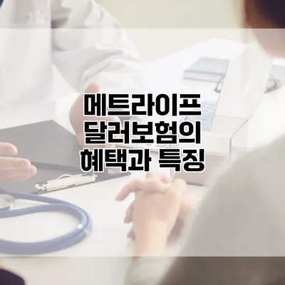 메트라이프 달러보험의 혜택과 특징