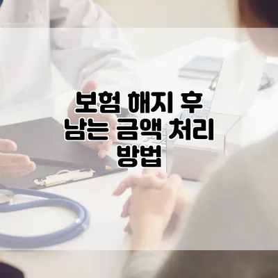 보험 해지 후 남는 금액 처리 방법