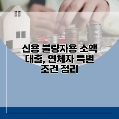 신용 불량자용 소액 대출, 연체자 특별 조건 정리