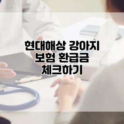 현대해상 강아지 보험 환급금 체크하기