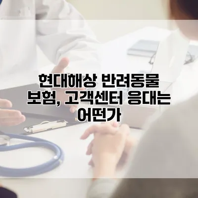 현대해상 반려동물 보험, 고객센터 응대는 어떤가?