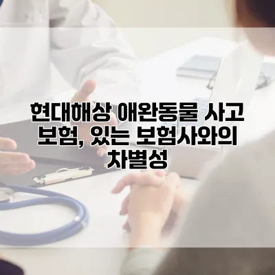 현대해상 애완동물 사고 보험, 있는 보험사와의 차별성