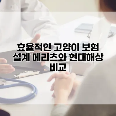 효율적인 고양이 보험 설계 메리츠와 현대해상 비교