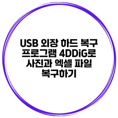 USB 외장 하드 복구 프로그램 4DDiG로 사진과 엑셀 파일 복구하기