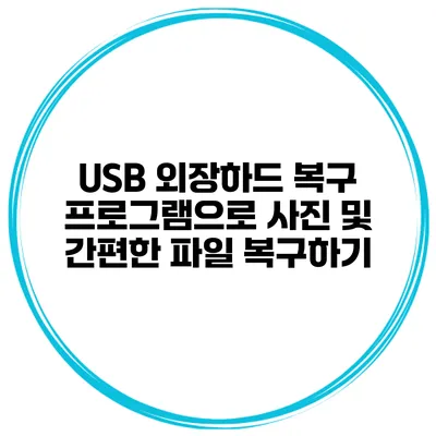 USB 외장하드 복구 프로그램으로 사진 및 간편한 파일 복구하기