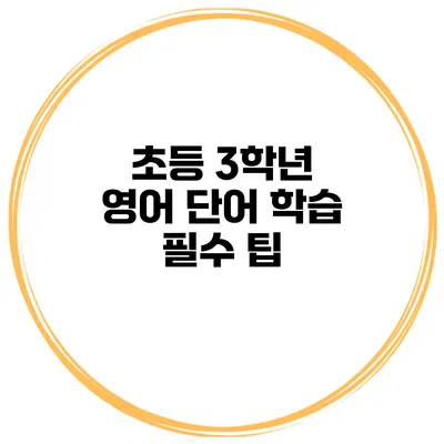 초등 3학년 영어 단어 학습 필수 팁
